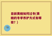 目前黄精如何过冬(黄精的冬季养护方式有哪些？)