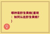 哪种是野生黄精(重现：如何认出野生黄精？)