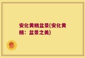 安化黄精盆景(安化黄精：盆景之美)