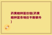 药黄精种苗价格(药黄精种苗市场价不断攀升)
