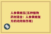 人参黄精五(五种植物药材混合：人参黄精复方的功效和作用)