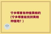 宁乡哪里有种植黄精的(宁乡哪里能找到黄精种植地？)