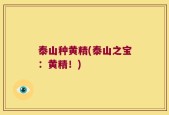 泰山种黄精(泰山之宝：黄精！)