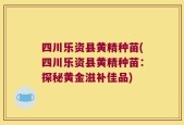 四川乐资县黄精种苗(四川乐资县黄精种苗：探秘黄金滋补佳品)