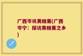 广西岑巩黄精果(广西岑宁：探访黄精果之乡)
