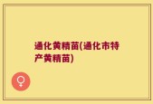 通化黄精苗(通化市特产黄精苗)