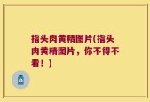 指头肉黄精图片(指头肉黄精图片，你不得不看！)