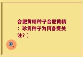合肥黄精种子合肥黄精：珍贵种子为何备受关注？)