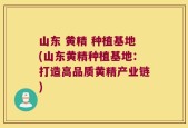 山东 黄精 种植基地(山东黄精种植基地：打造高品质黄精产业链)