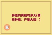 种植的黄精有多大(黄精种植：产量大增！)