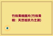 竹和黄精图片(竹和黄精：天然抵抗力之源)
