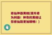修仙神器黄精(提升修为利器！神奇的黄精让你修仙路更加顺畅！)