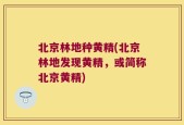 北京林地种黄精(北京林地发现黄精，或简称北京黄精)