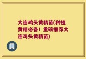 大连鸡头黄精苗(种植黄精必备！重磅推荐大连鸡头黄精苗)
