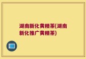 湖南新化黄精茶(湖南新化推广黄精茶)