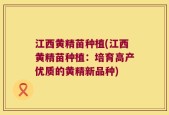 江西黄精苗种植(江西黄精苗种植：培育高产优质的黄精新品种)