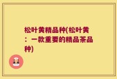 松叶黄精品种(松叶黄：一款重要的精品茶品种)
