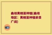 曲靖黄精苗种植(曲靖地区：黄精苗种植前景广阔)