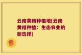 云南黄精种植地(云南黄精种植：生态农业的新选择)