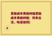 恩施咸丰黄精种植恩施咸丰黄精种植：传承古法，味道独特)