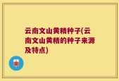 云南文山黄精种子(云南文山黄精的种子来源及特点)