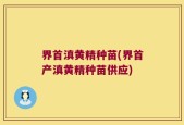 界首滇黄精种苗(界首产滇黄精种苗供应)