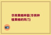 华阴黄精种苗(华阴种植黄精的窍门)