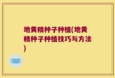 地黄精种子种植(地黄精种子种植技巧与方法)