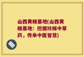 山西黄精基地(山西黄精基地：挖掘珍稀中草药，传承中医智慧)