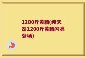 1200斤黄精(纯天然1200斤黄精闪亮登场)