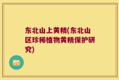 东北山上黄精(东北山区珍稀植物黄精保护研究)