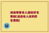 湖南哪里有人回收野生黄精(湖南有人收购野生黄精)