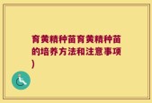 育黄精种苗育黄精种苗的培养方法和注意事项)