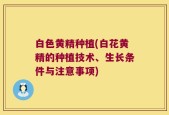 白色黄精种植(白花黄精的种植技术、生长条件与注意事项)