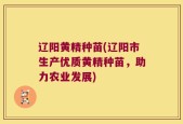 辽阳黄精种苗(辽阳市生产优质黄精种苗，助力农业发展)