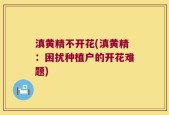 滇黄精不开花(滇黄精：困扰种植户的开花难题)