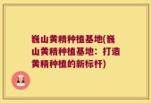 巍山黄精种植基地(巍山黄精种植基地：打造黄精种植的新标杆)