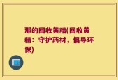 那的回收黄精(回收黄精：守护药材，倡导环保)