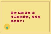 黄精 玛咖 黄芪(黄芪玛咖制黄精，提高身体免疫力)