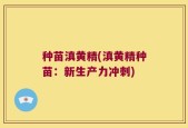 种苗滇黄精(滇黄精种苗：新生产力冲刺)