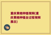 重庆黄精种植视频(重庆黄精种植全过程视频展示)