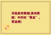 河南禹州黄精(禹州黄精：中药材“黄金”，受追捧)