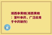 湘西参黄精(湘西黄精：茎叶参药，广泛应用于中药制作)