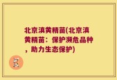 北京滇黄精苗(北京滇黄精苗：保护濒危品种，助力生态保护)