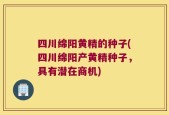 四川绵阳黄精的种子(四川绵阳产黄精种子，具有潜在商机)