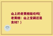 山上的老黄精能吃吗(老黄精：山上宝藏还是食材？)