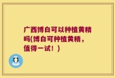 广西博白可以种植黄精吗(博白可种植黄精，值得一试！)