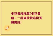 多花黄精观赏(多花黄精，一起来欣赏这份天赐美好)