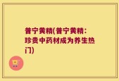 普宁黄精(普宁黄精：珍贵中药材成为养生热门)