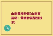 山南黄精种苗(山南育苗场：黄精种苗繁殖技术)